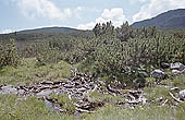 Rila Mountains, the Seven Lakes Trail 